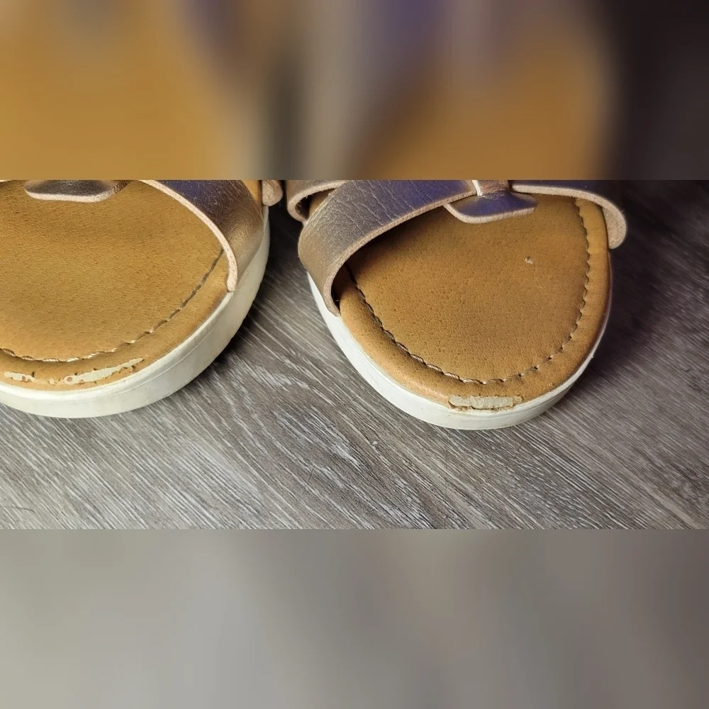 Cat and Jack Sandals‎